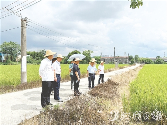 人大代表們到石青村視察典型村建設(shè)情況。