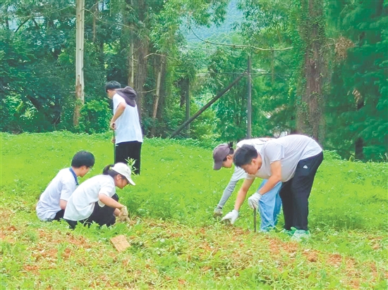 隊員們在田間進行除草工作。