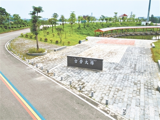 古勞鎮(zhèn)大埠村開展“三綠行動”，推動鄉(xiāng)村綠化工作走深走實。