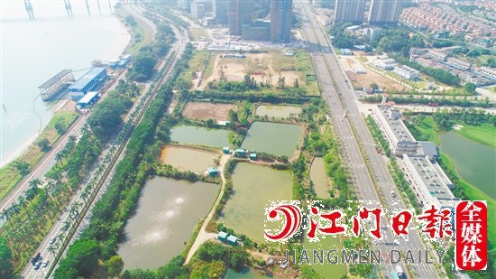 濱江大道旁地塊實景圖。
