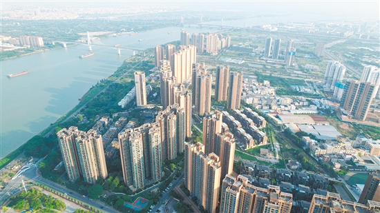 外海板塊樓盤多了起來。