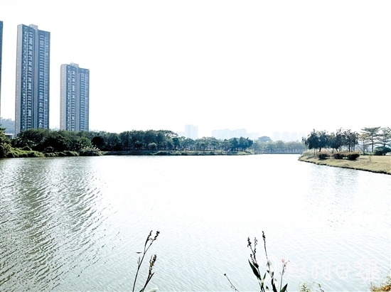 近年來，江門居住環(huán)境越來越好。