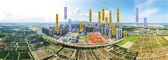 去年推出的靚地受到開(kāi)發(fā)商青睞。
