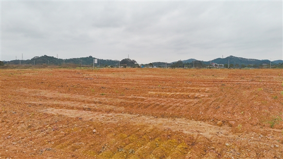 該地塊位于新會(huì)區(qū)江睦新能源雙碳產(chǎn)業(yè)園新中公路北側(cè)、勝利南路南延線西側(cè)。