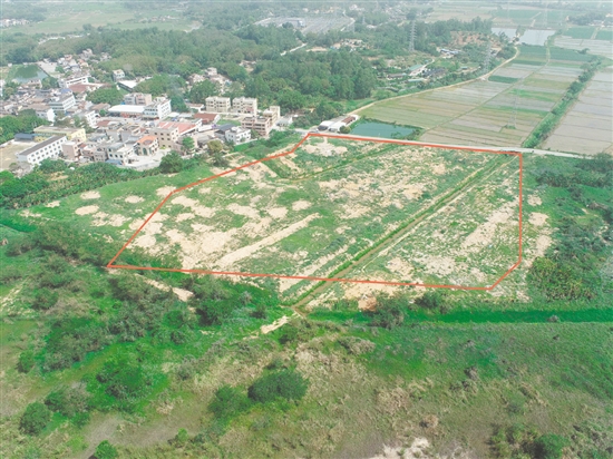 江門市JCR2025-55（臺(tái)山07）號(hào)地。
