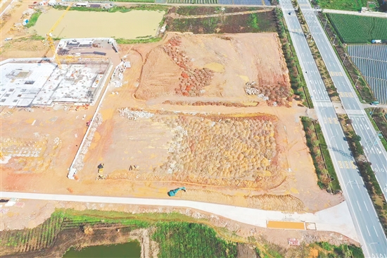 江門市JCR2025-65（開(kāi)平06）號(hào)地。