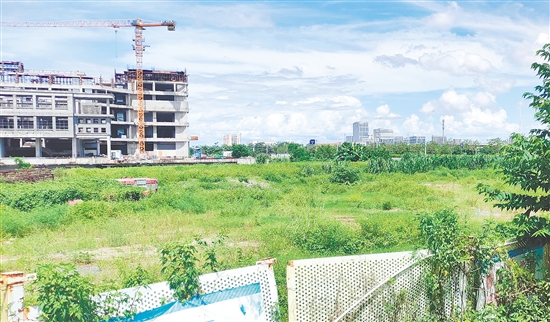 江門市JCR2025-100（新會(huì)18）號(hào)地。