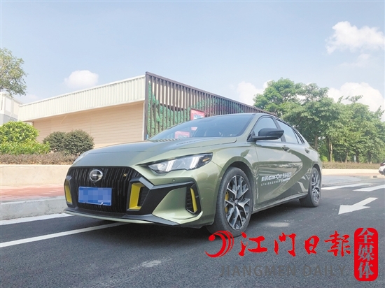 影豹的外觀運(yùn)動(dòng)感十足。